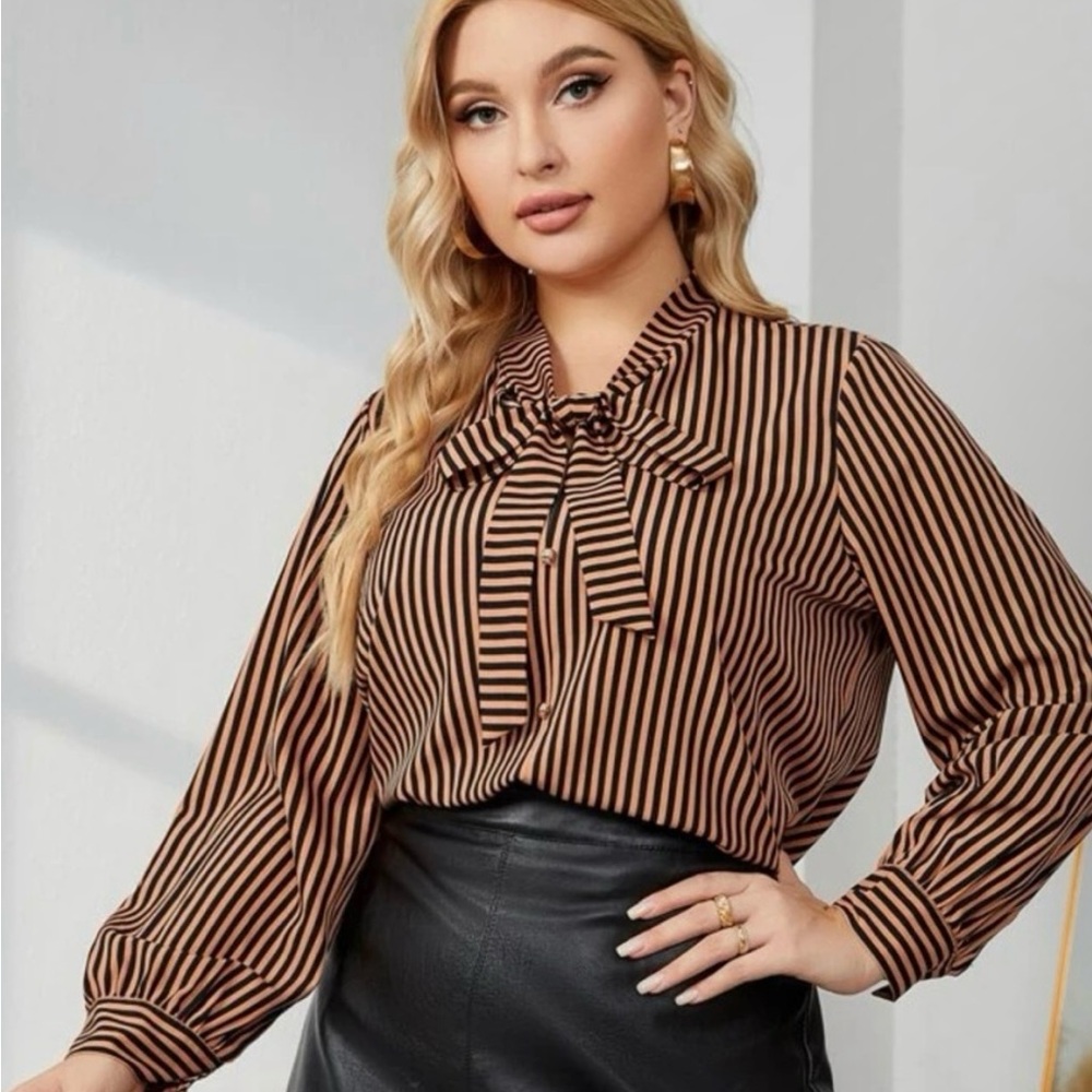 Striped blouse 2x